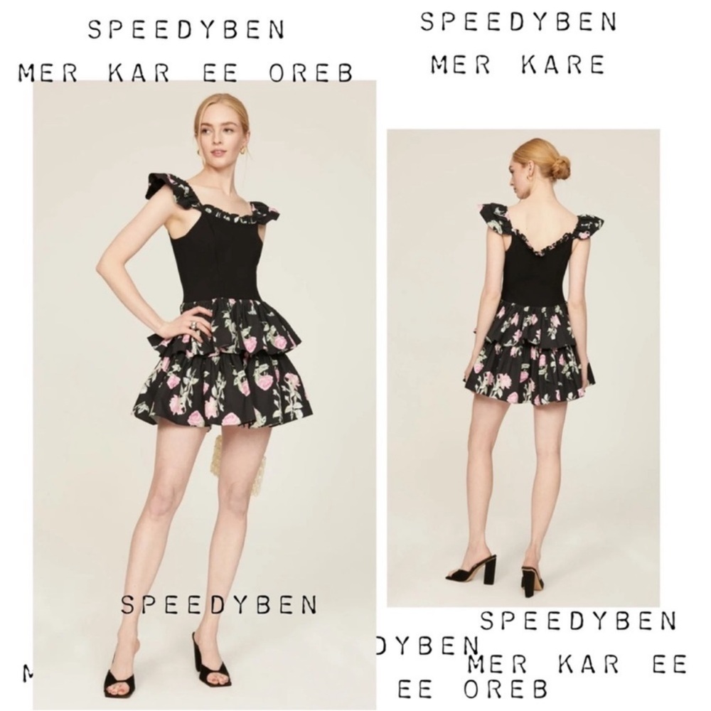 Love Shack Fancy LoveShackFancy Sanam Floral Mini Dress Size 4